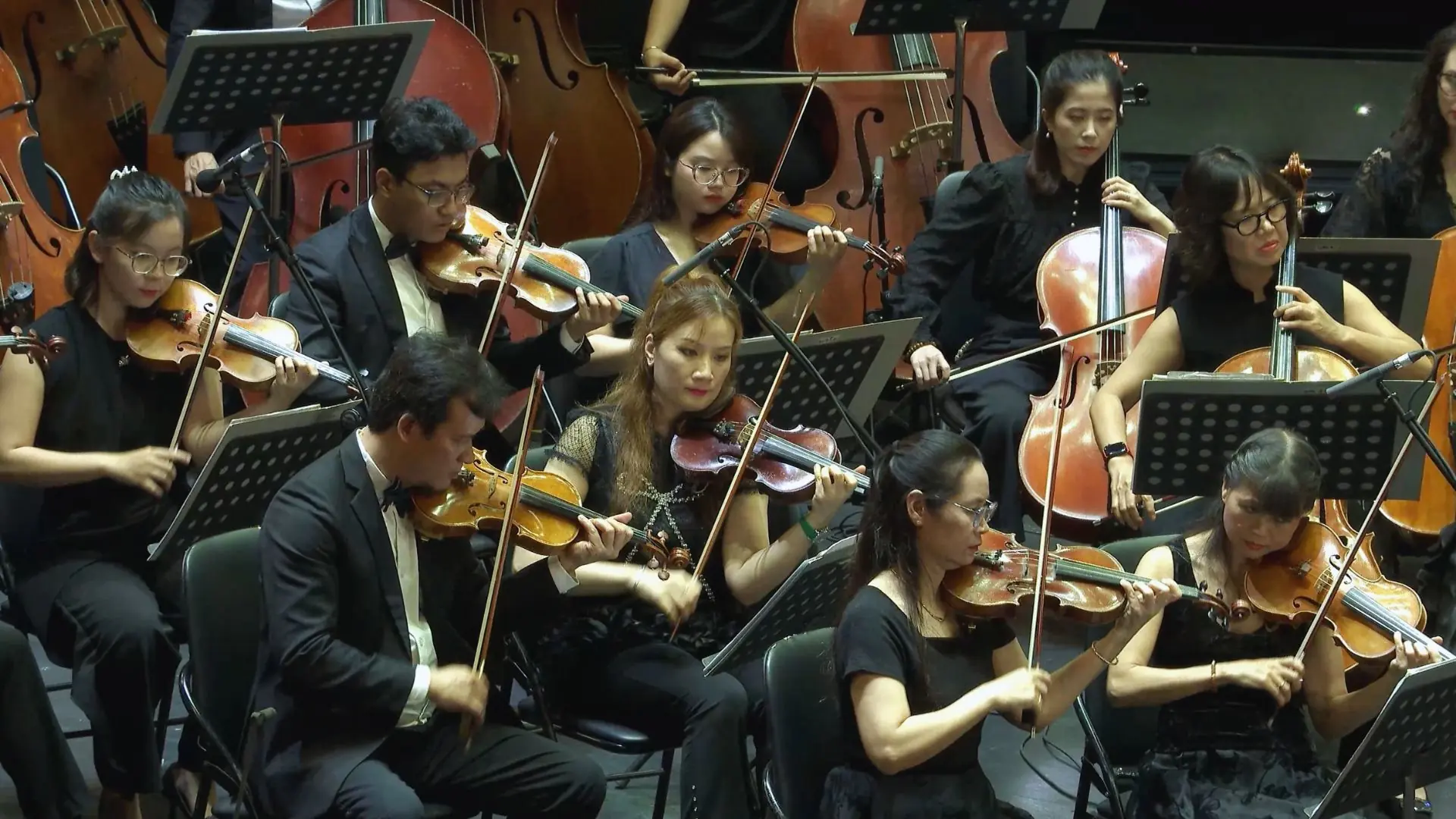 Nhìn những mùa thu đi